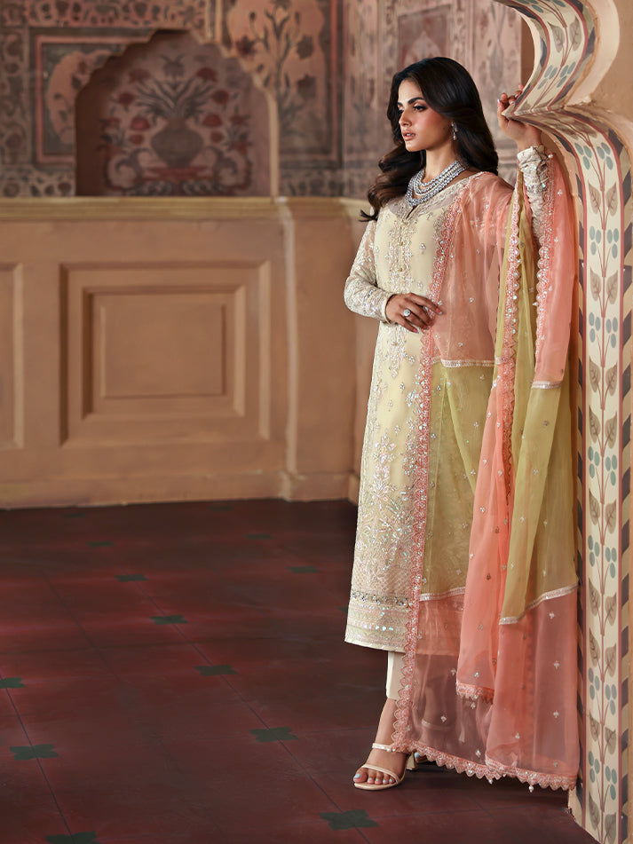 Gulaal Chiffon Fancy
