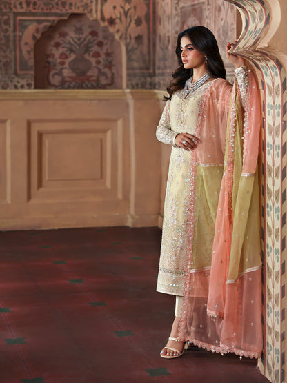 Gulaal Chiffon Fancy