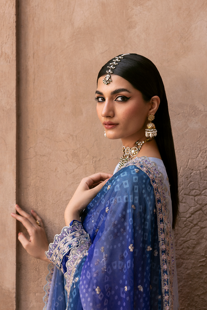 Emaan Adeel Chiffon Fancy