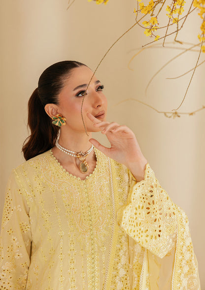 AIK Atelier Lawn Fancy