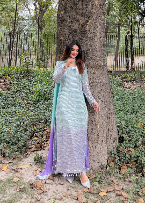 Chiffon Fancy