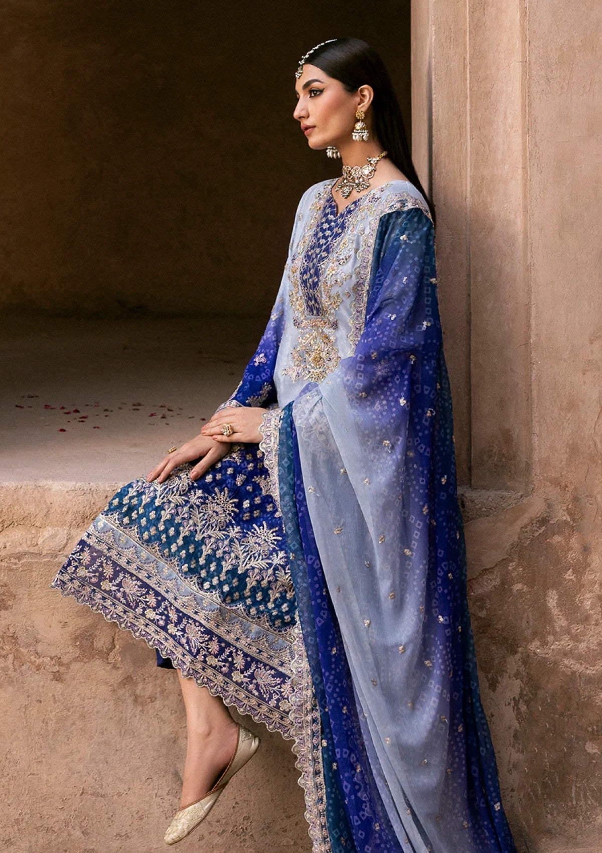 Emaan Adeel Chiffon Fancy