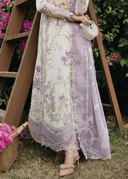 Crimson Lawn Fancy
