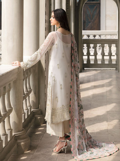 Gulaal Chiffon Fancy