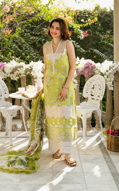 Asifa & Nabeel Lawn Fancy