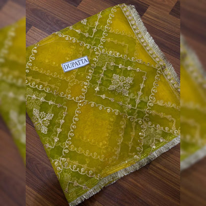 Maria B Organza Fancy