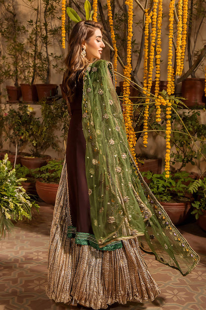 Khuda Baksh Chiffon Fancy