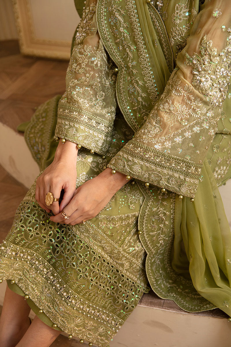 Gulaal Chiffon Fancy