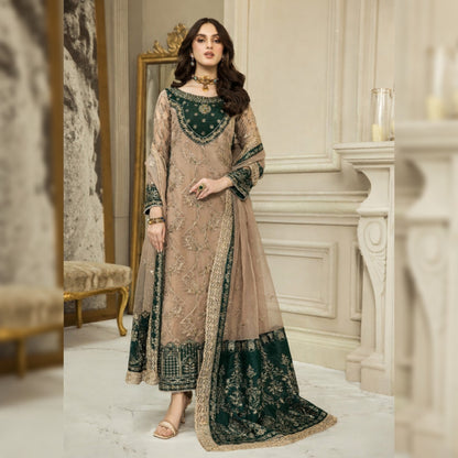 Nainsukh Chiffon Fancy