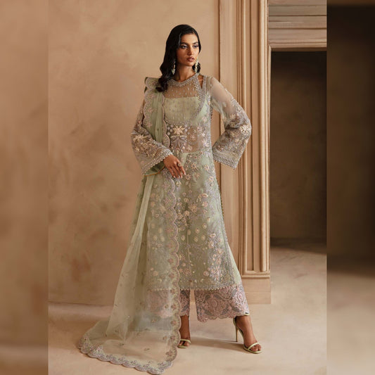 Akbar Aslam Organza Fancy