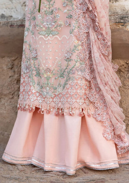 Sardinia Chiffon Fancy