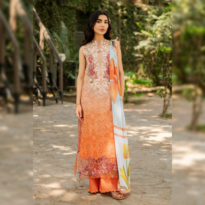 Asifa & Nabeel Lawn Fancy