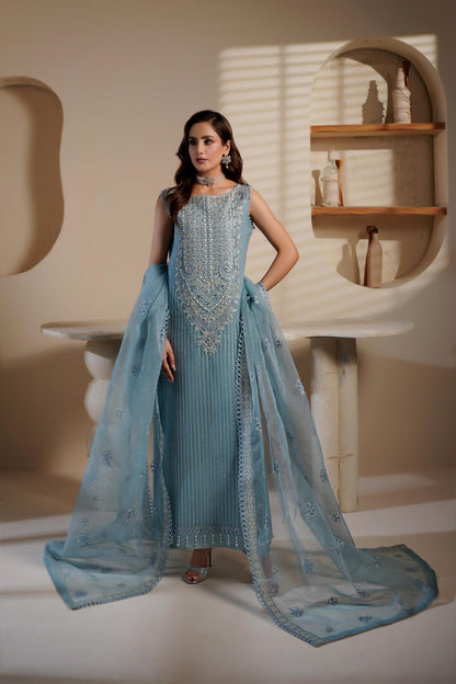 Maryam's Organza Fancy
