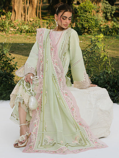 Bin Ilyas Lawn Fancy