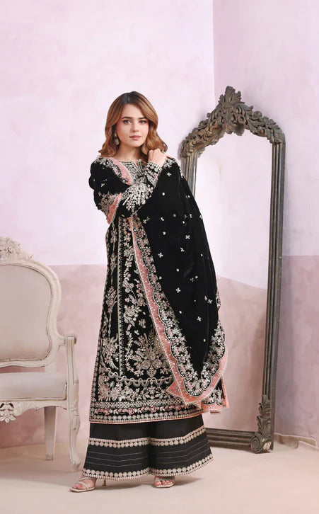 Aneela's Velvet Fancy