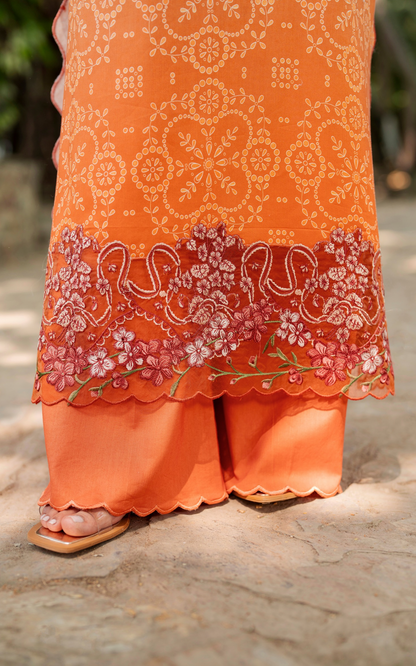 Asifa & Nabeel Lawn Fancy