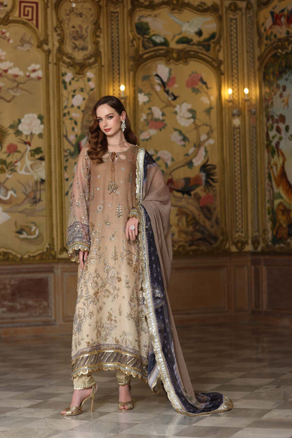 Saadia Asad Cotton Net Fancy