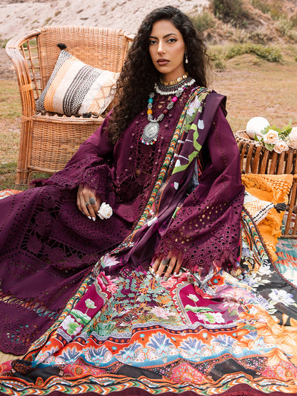 Bin Ilyas Lawn Fancy