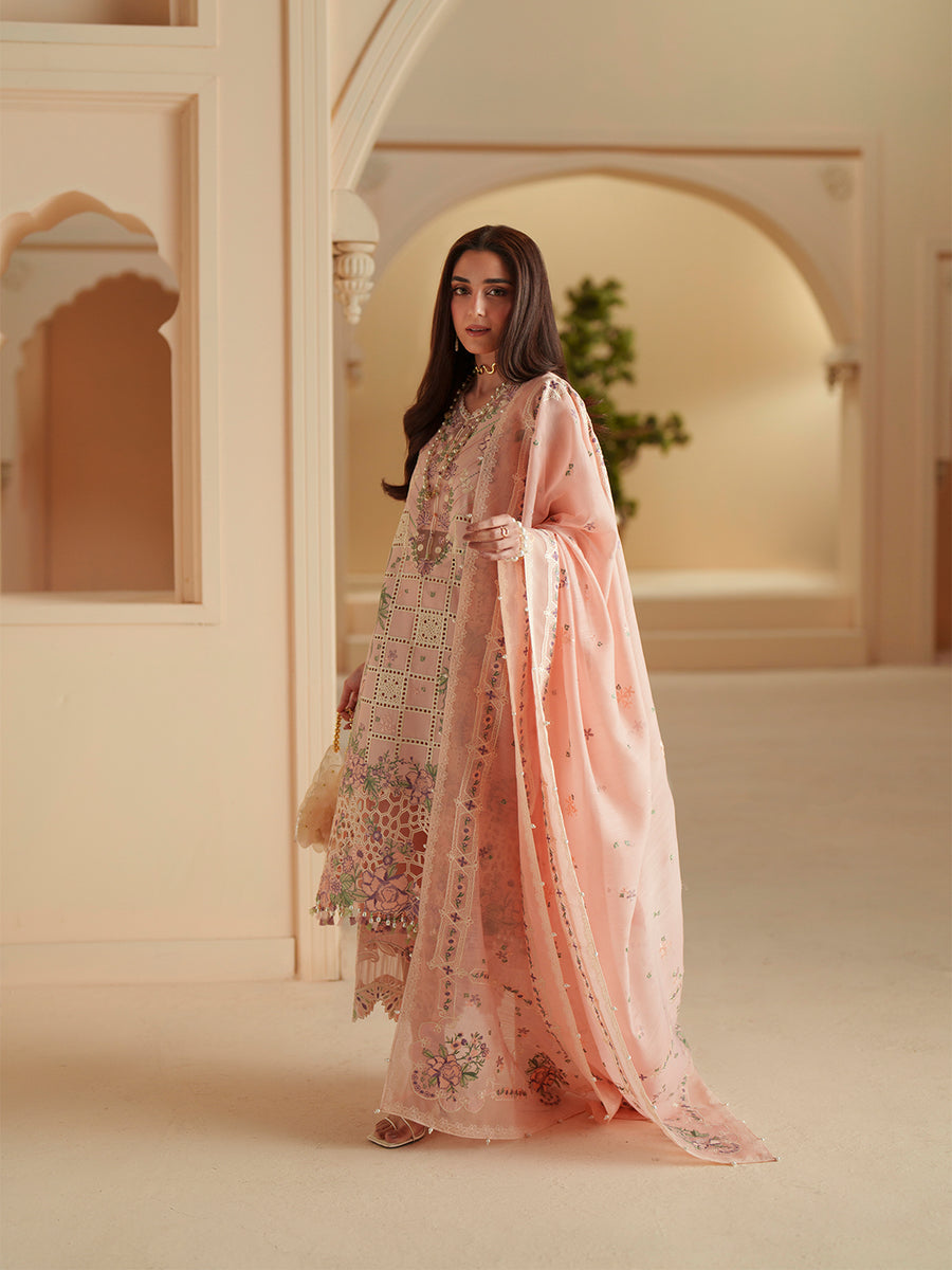 Bin Ilyas Lawn Fancy
