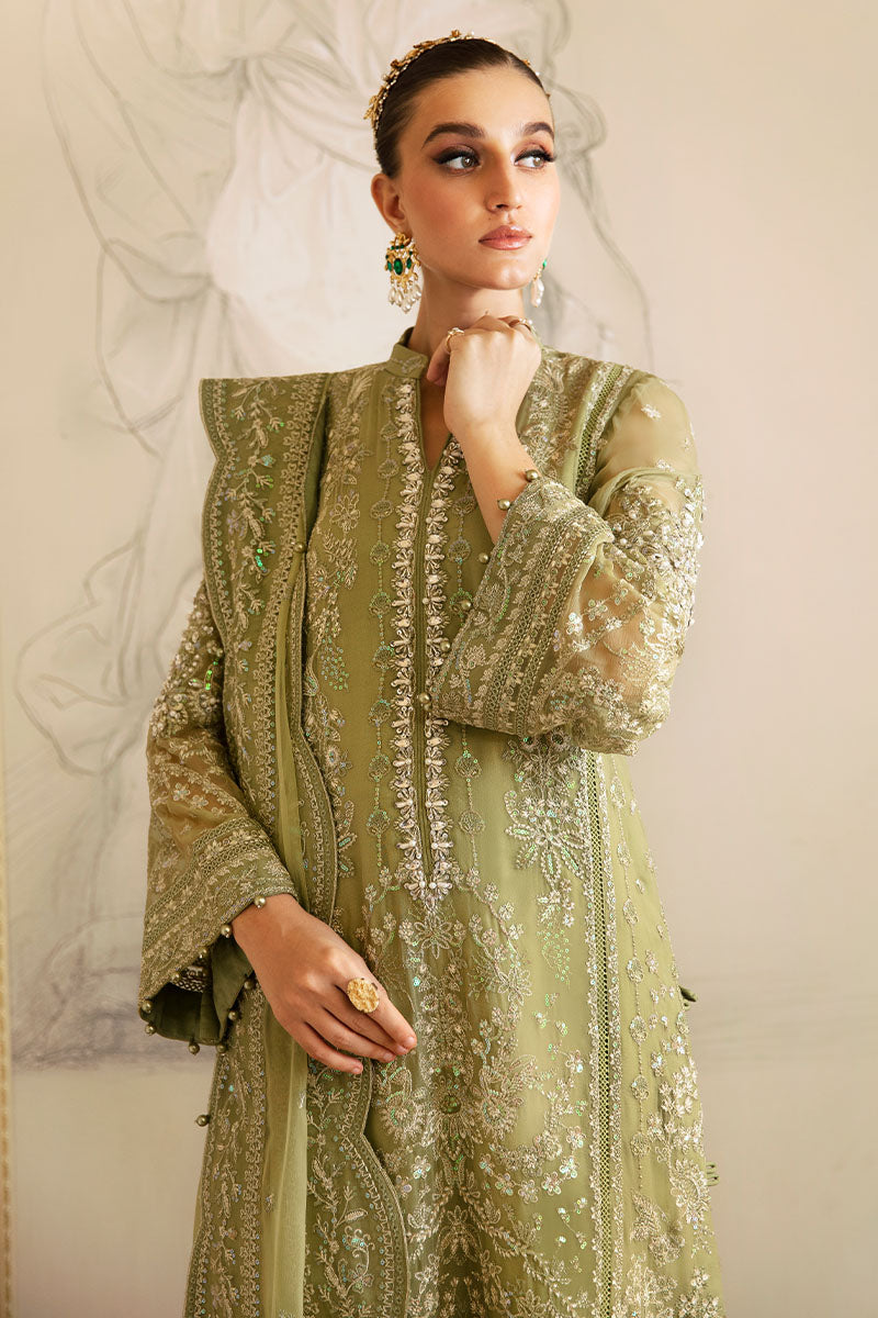 Gulaal Chiffon Fancy