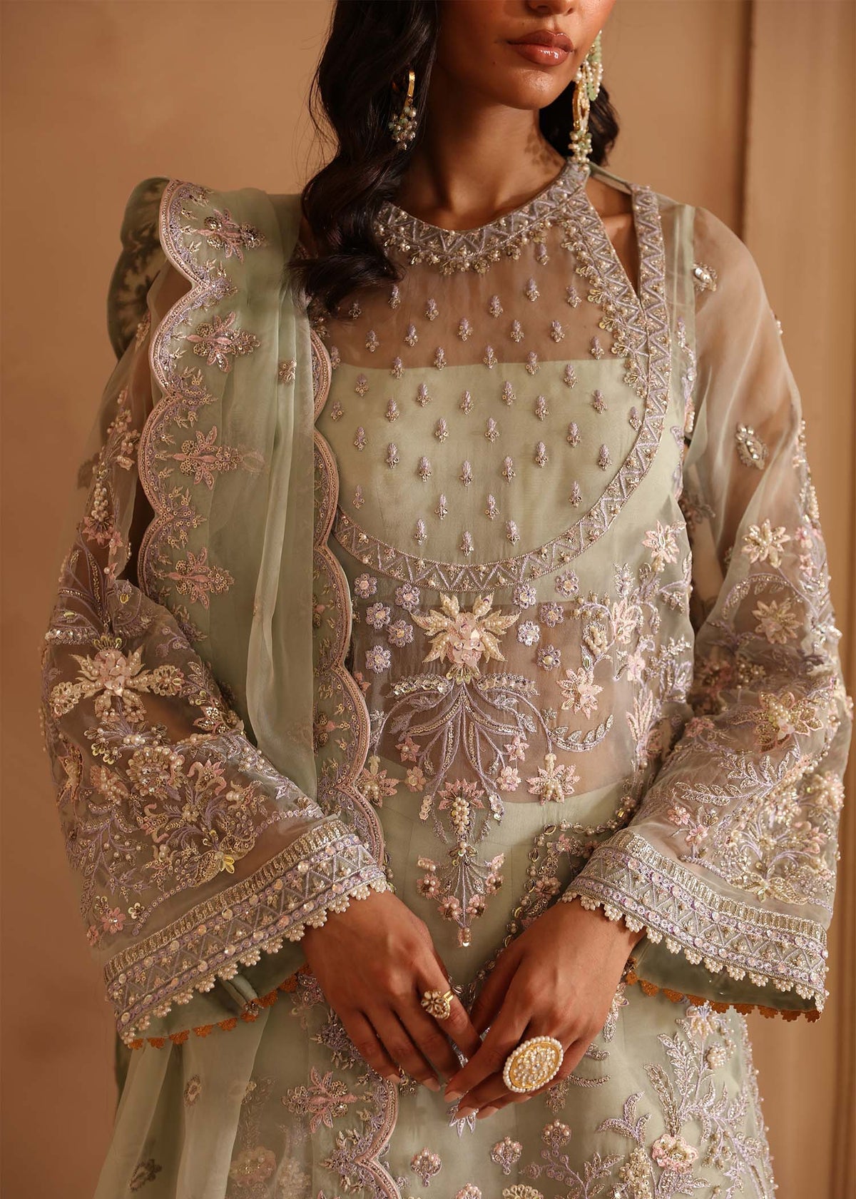 Akbar Aslam Organza Fancy