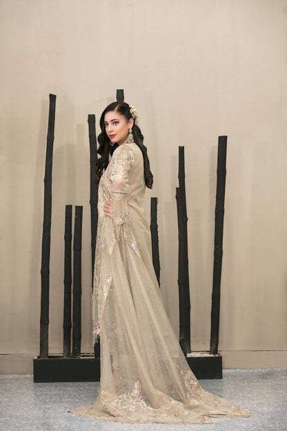 Maria B Organza Fancy