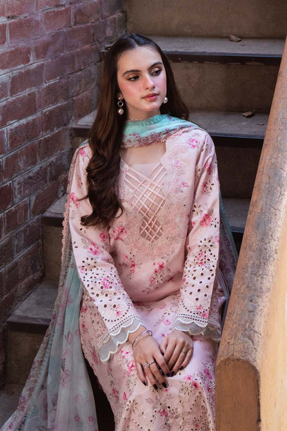 Neeshay Lawn Fancy