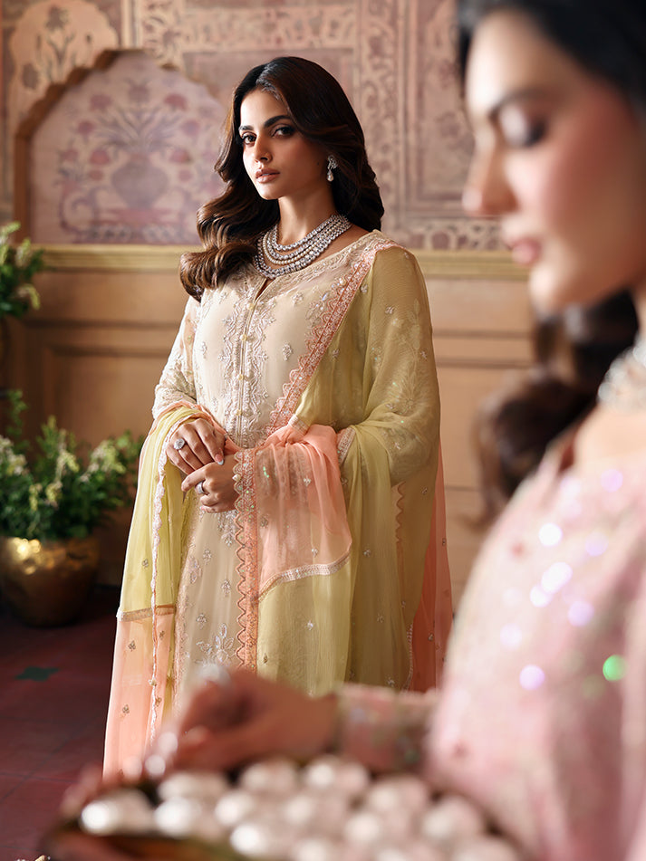 Gulaal Chiffon Fancy