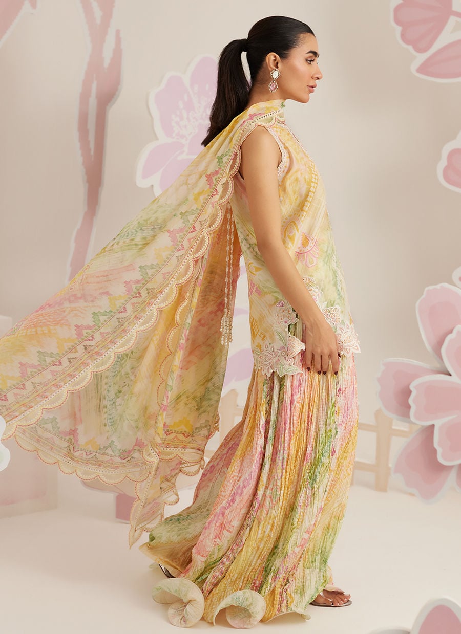 Farah Talib Lawn Fancy