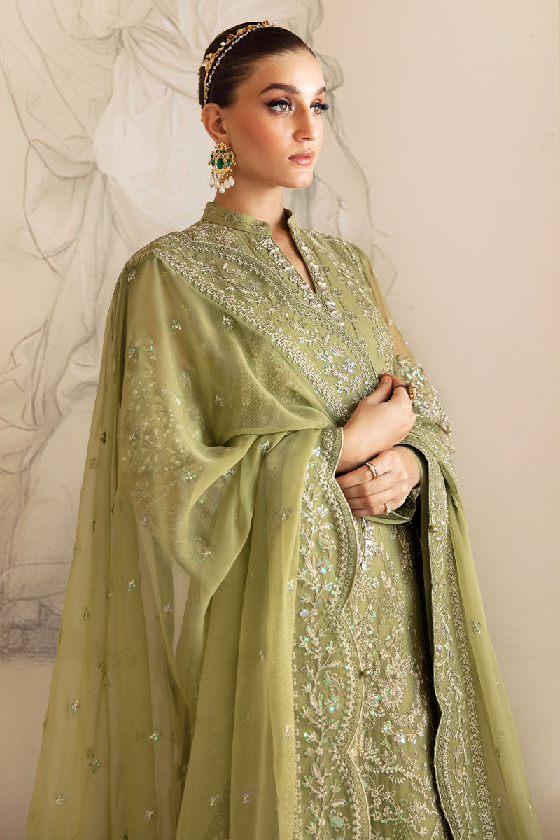 Gulaal Chiffon Fancy