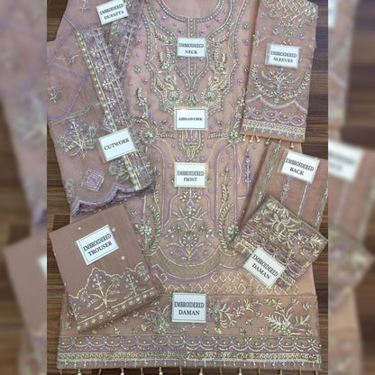 Gulaal Organza Fancy