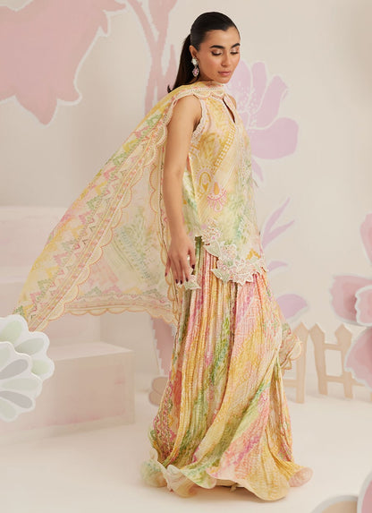 Farah Talib Lawn Fancy