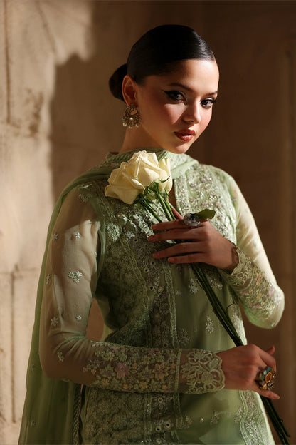 Azure Chiffon Fancy
