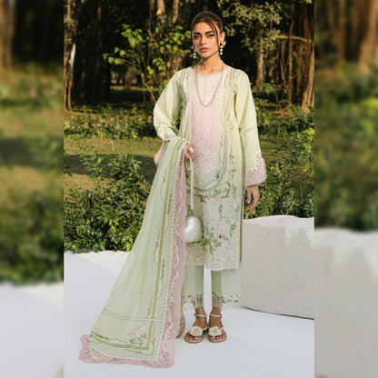 Bin Ilyas Lawn Fancy