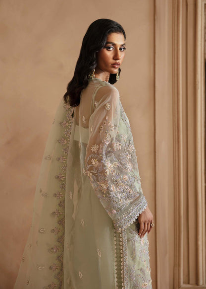 Akbar Aslam Organza Fancy