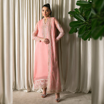 Neeshay Chiffon Fancy