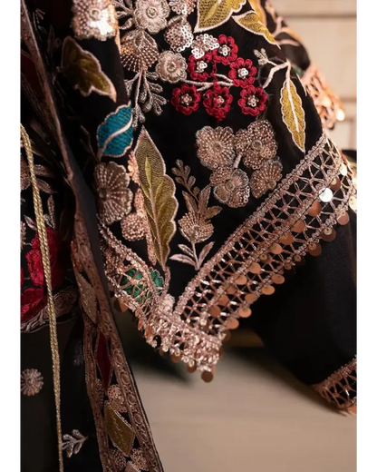 Rang Rasiya Chiffon Fancy