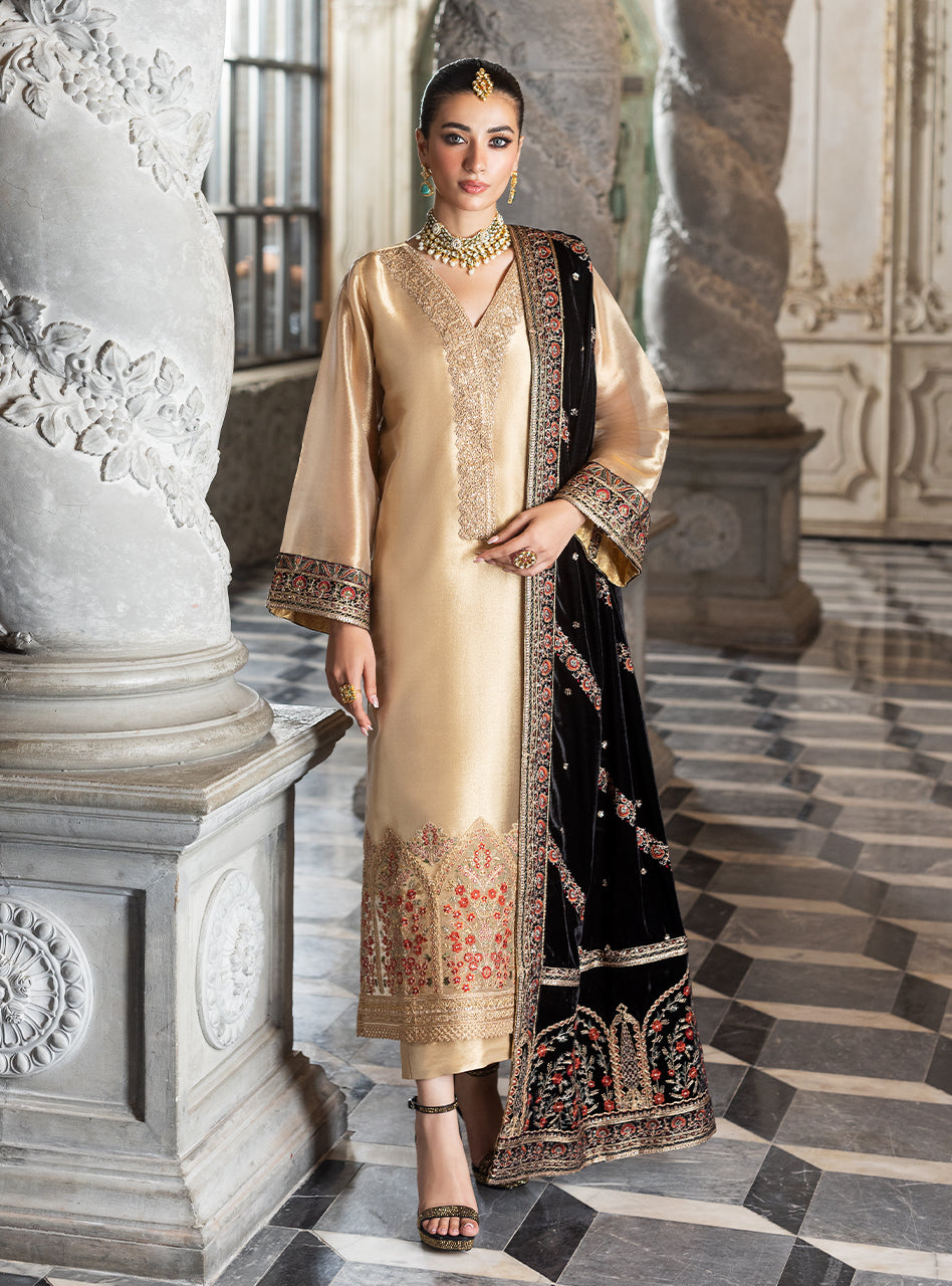 Zainab Chottani Velvet Fancy