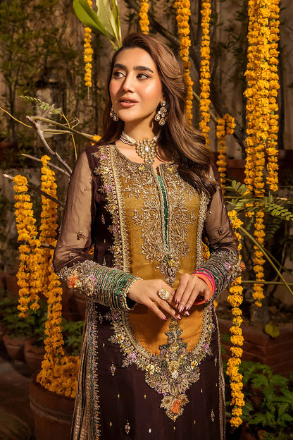 Khuda Baksh Chiffon Fancy