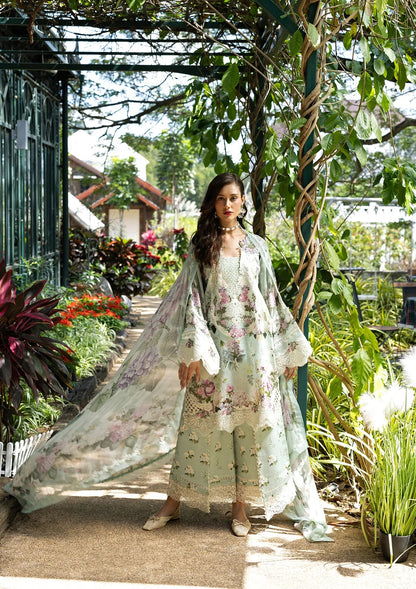 Elaf Lawn Fancy