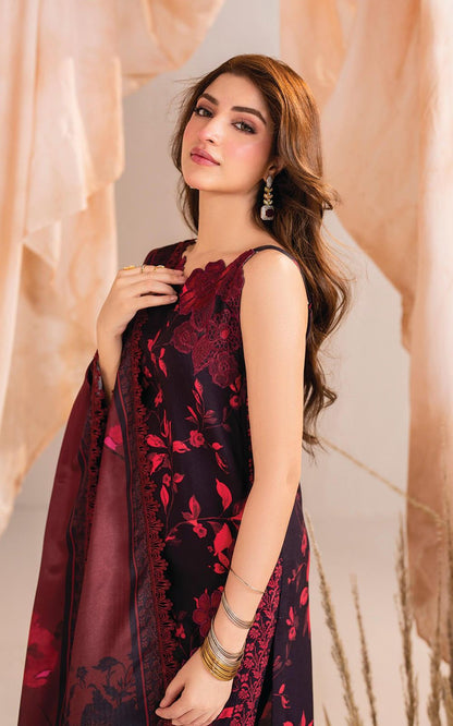 Asifa & Nabeel Silk Fancy