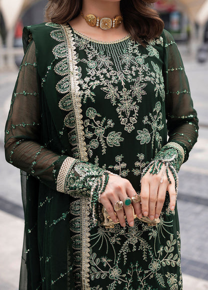 Sahane Chiffon Fancy