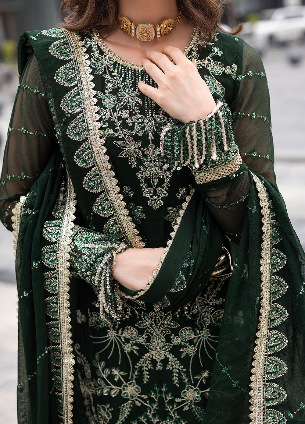 Sahane Chiffon Fancy