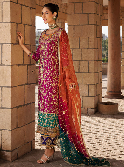 Zainab Chottani Chiffon Fancy