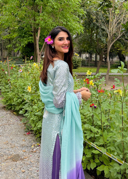 Chiffon Fancy