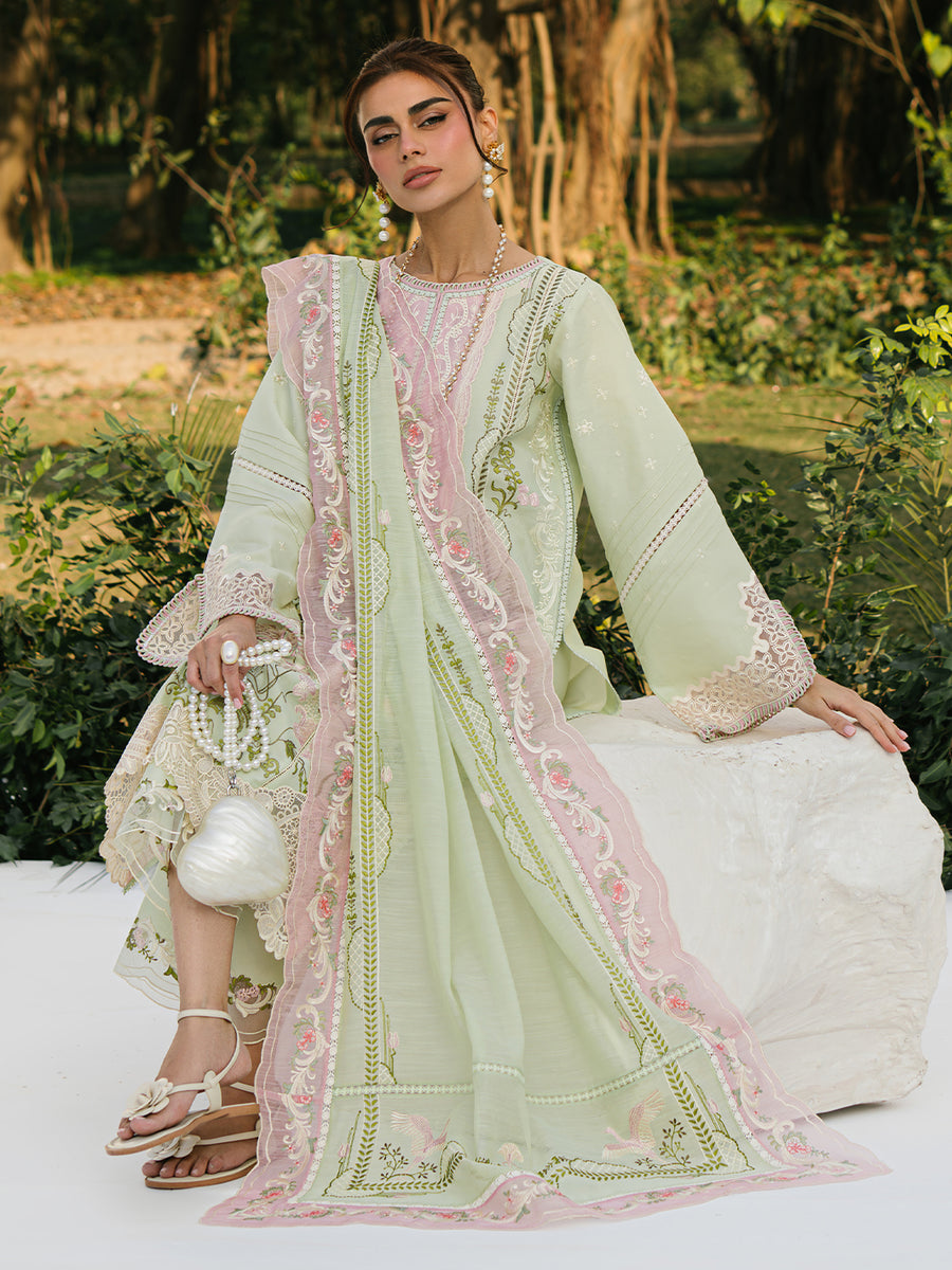 Bin Ilyas Lawn Fancy